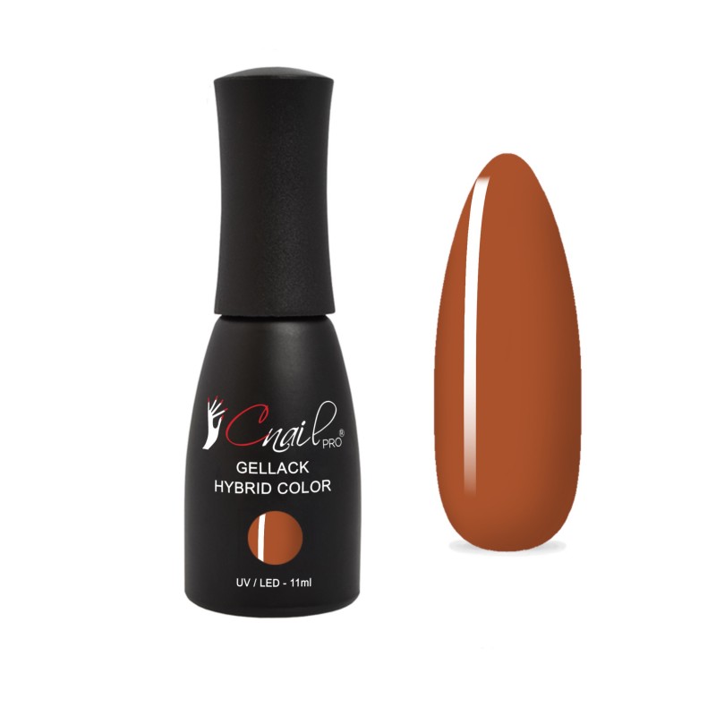 Gellack Hybrid Kiel