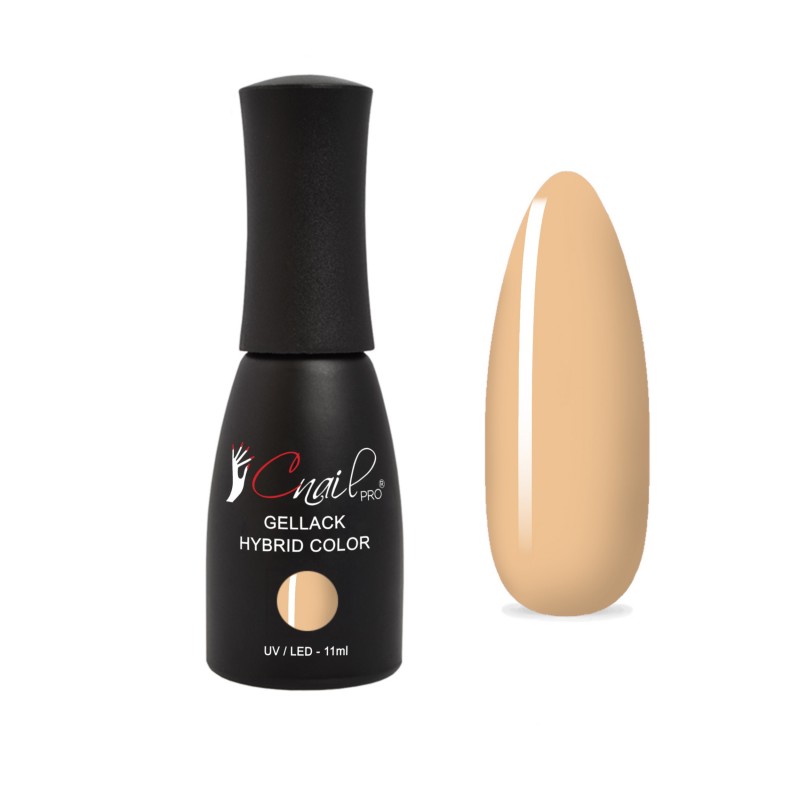 Gellack Hybrid Reggio de Calabre