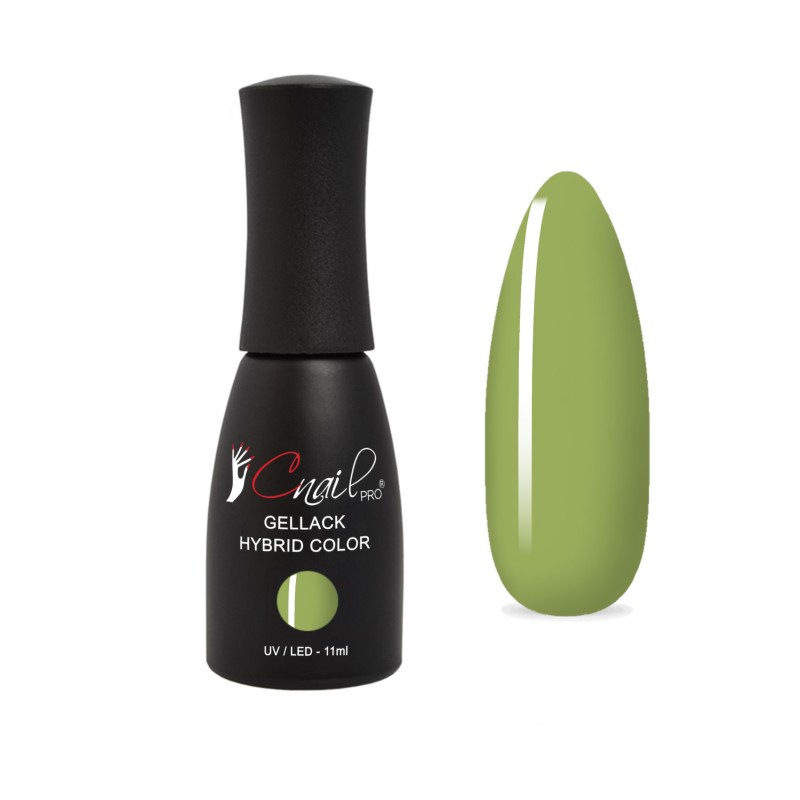 Gellack Hybrid Bulolo