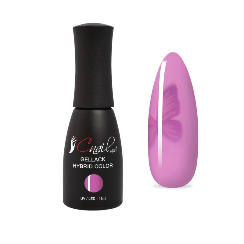 Hybrid Farbe Riga...
