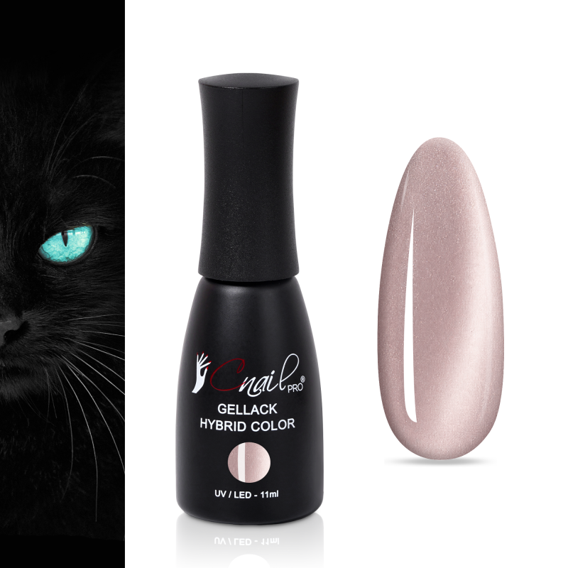 Gellack Hybrid Phuket Cat...