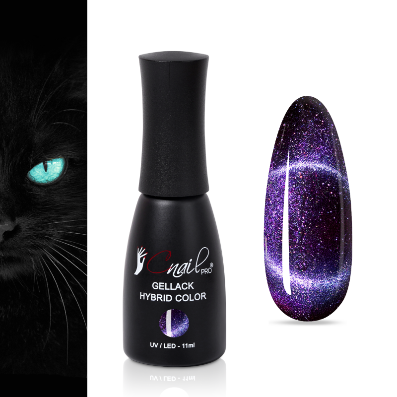 Gellack Hybrid Key West Cat...