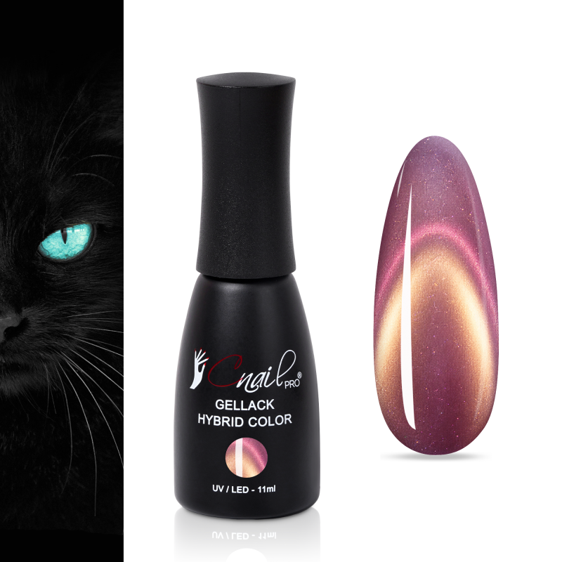 Gellack Hybrid New York Cat...