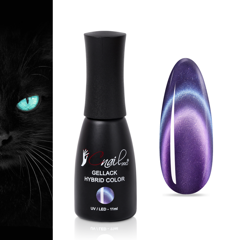 Gellack Hybrid Brussels Cat...