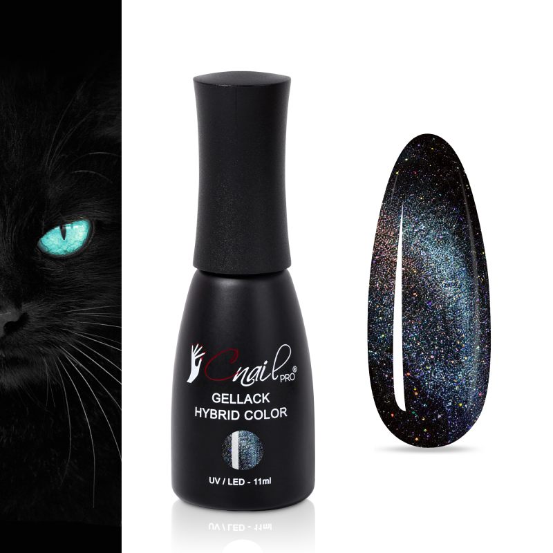Gellack Hybrid Auckland Cat...