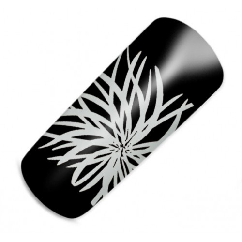 Stamping Lack St.-Pétersbourg