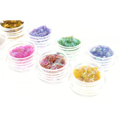 Kit Coquillages en fragments coloré 