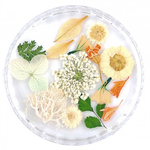 Trockenblume Mix Weiss