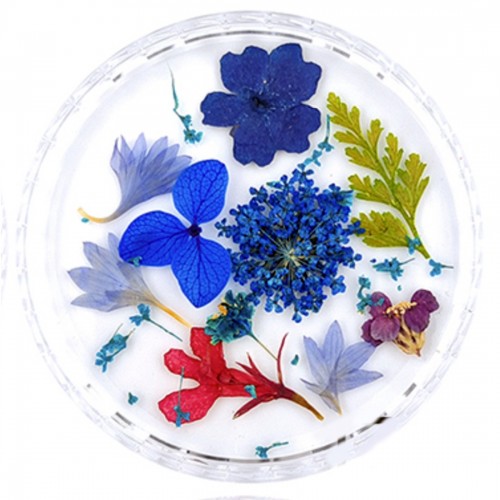 Trockenblume Mix Blau