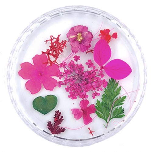Trockenblume Mix Rosa